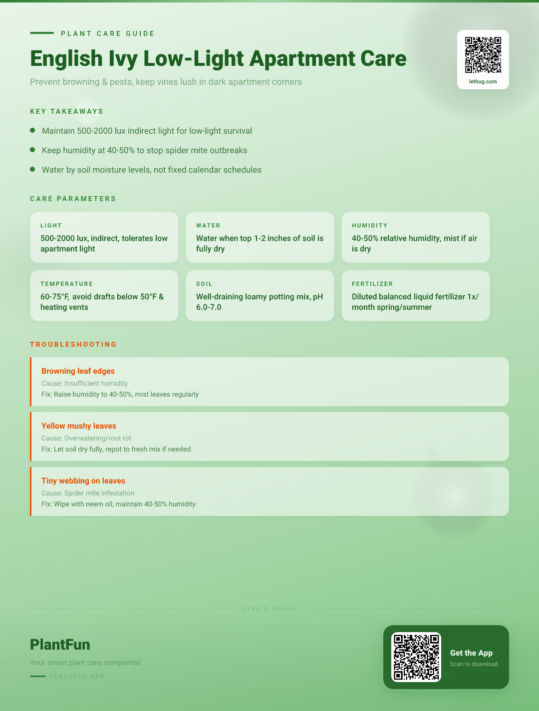 English Ivy in Low-Light Apartments: The Ultimate Guide to Preventing Browning and Pests — Care Guide for indoor houseplants