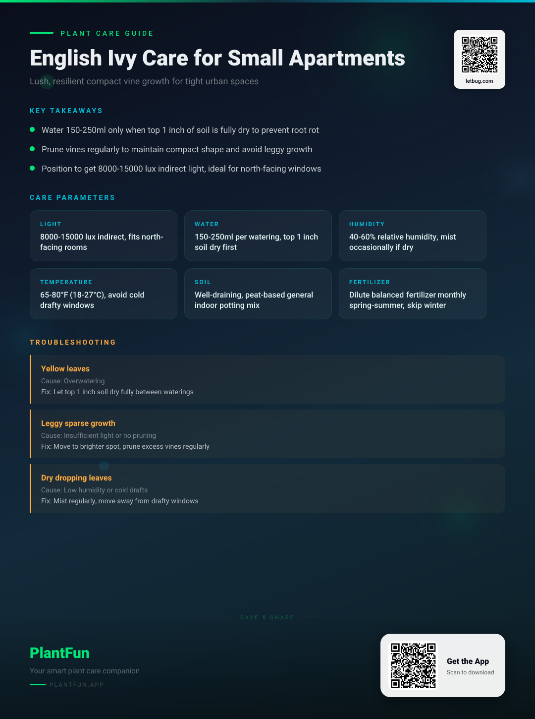 English Ivy in Small Apartments: The Ultimate Care Guide for Lush, Resilient Indoor Growth — Care Guide for indoor houseplants