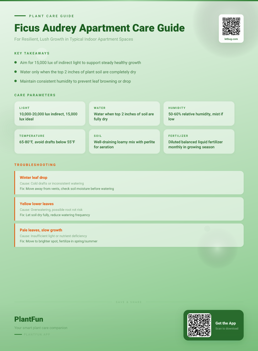 Ficus Audrey in Typical Apartments: The Complete Care Guide for Resilient, Lush Growth — Care Guide for indoor houseplants