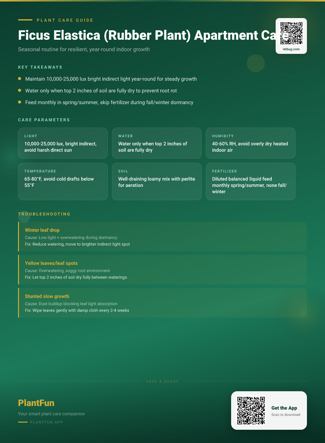 Ficus Elastica Care for Apartments: The Seasonal Routine for Resilient Rubber Plant Growth — Care Guide for indoor houseplants