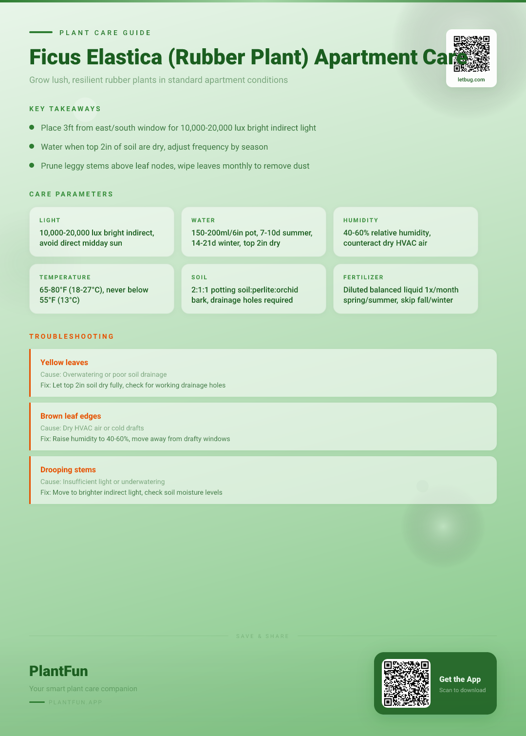 Ficus Elastica Care Checklist for Typical Apartments: 8 Steps to Resilient, Lush Growth — Care Guide for indoor houseplants