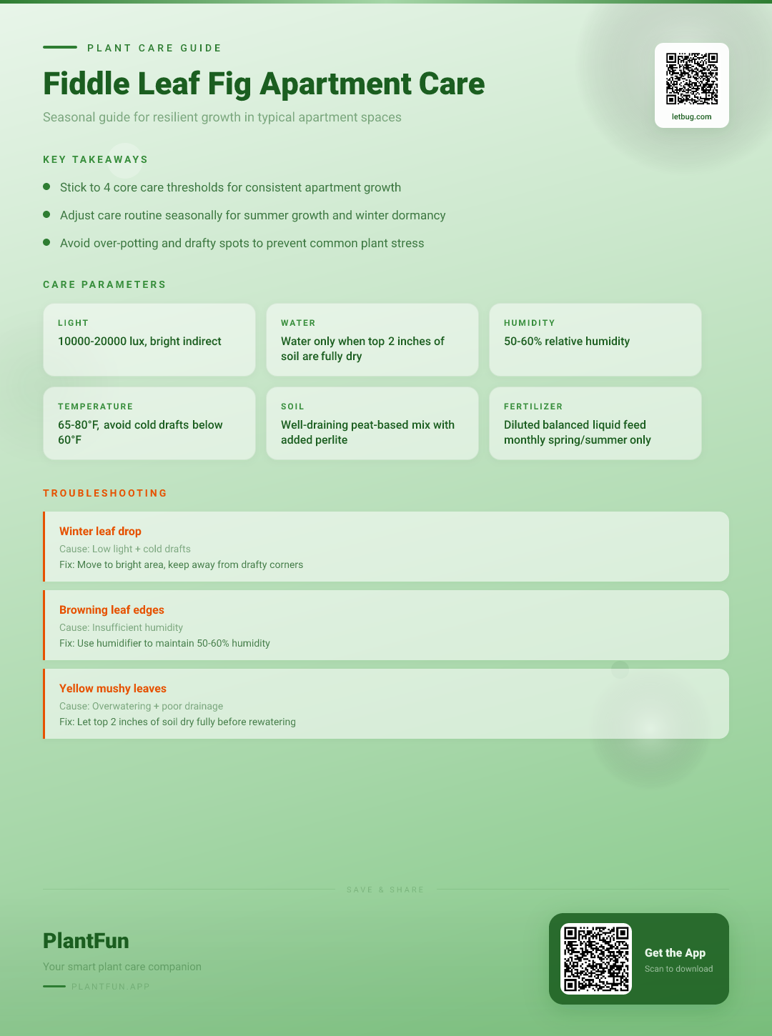 Fiddle Leaf Fig in a Typical Apartment: The Complete Seasonal Care Guide for Resilient Growth — Care Guide for indoor houseplants