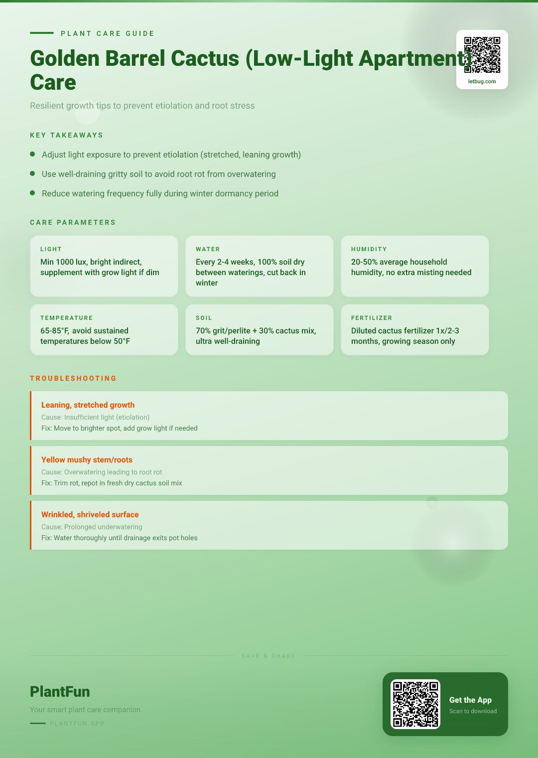Golden Barrel Cactus in a Low-Light Apartment: A Resilient Growth and Rescue Strategy — Care Guide for indoor houseplants