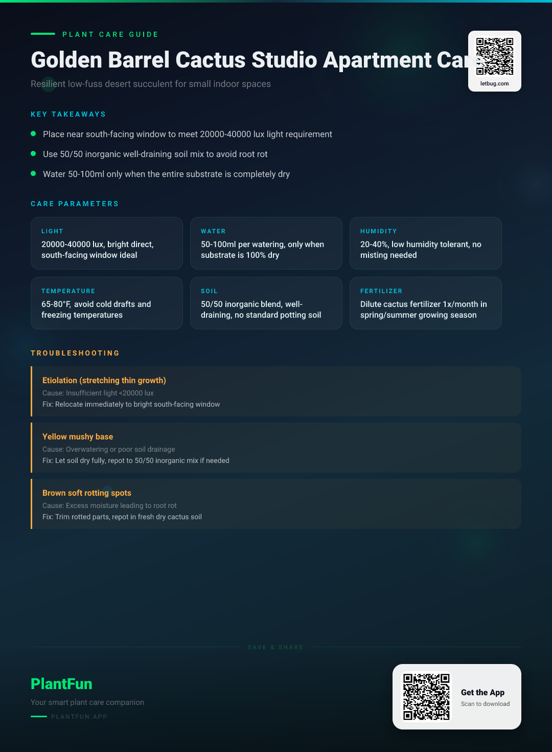 Golden Barrel Cactus in a Studio Apartment: The Ultimate Care Guide for Resilient Growth — Care Guide for indoor houseplants