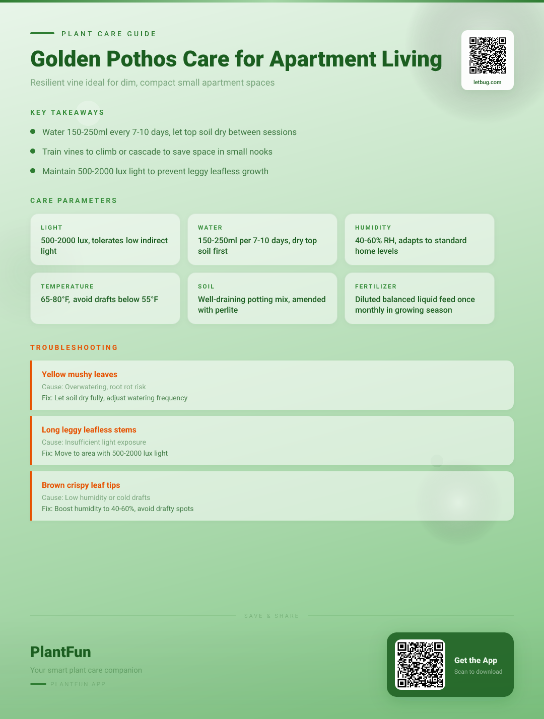 Golden Pothos Care for Apartment Living: A Resilient Guide for Dim, Small Spaces — Care Guide for indoor houseplants