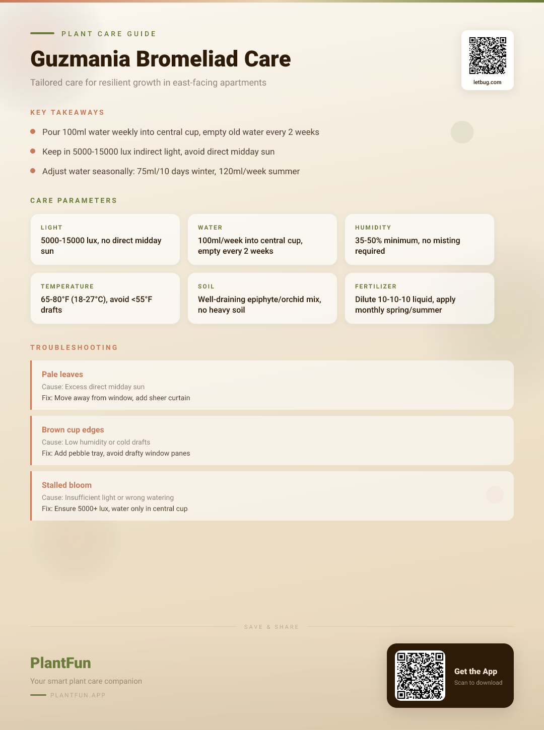 Guzmania Bromeliad Care Checklist for Resilient Growth in Typical East-Facing Apartments — Care Guide for indoor houseplants