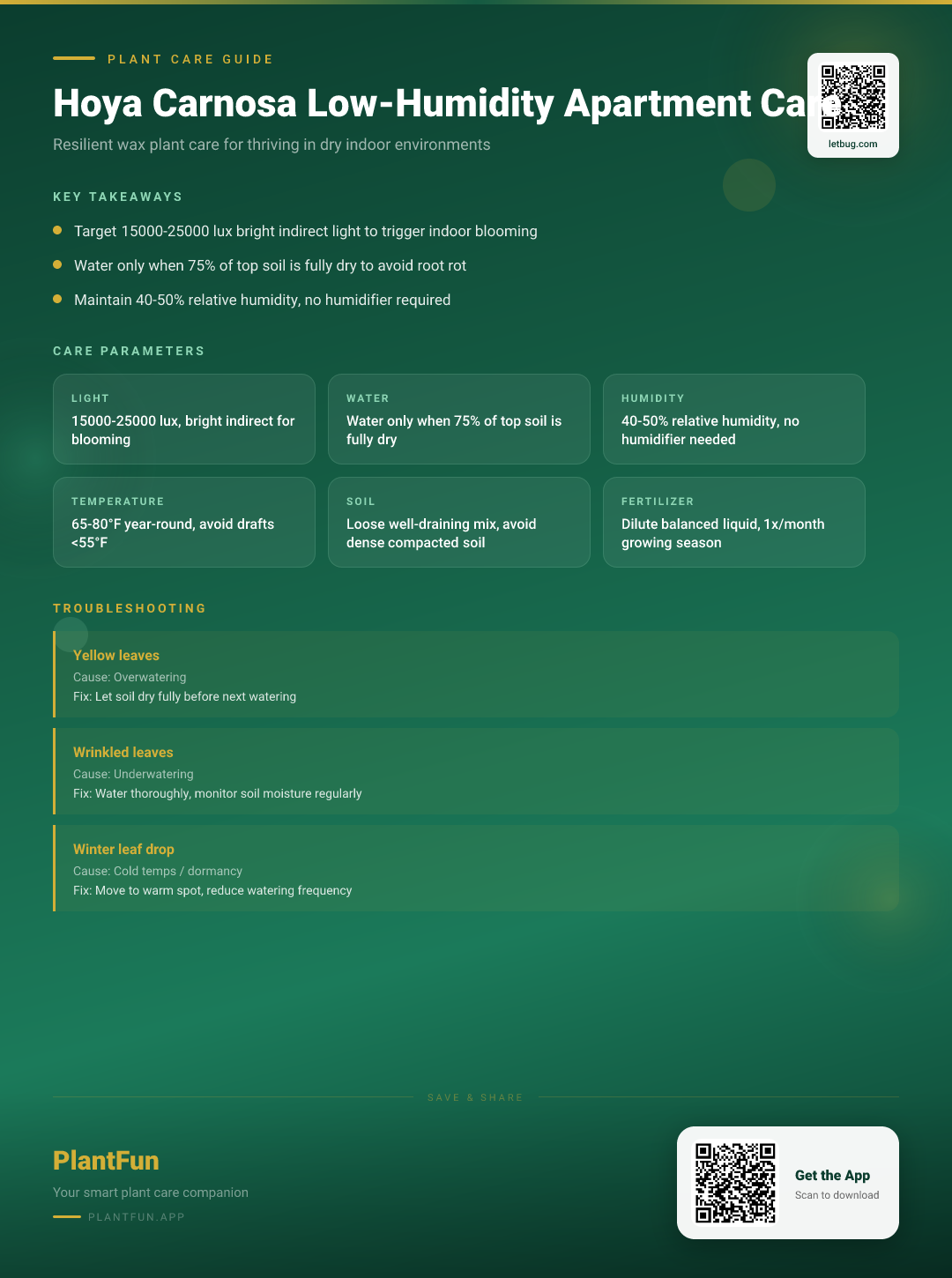 Hoya Carnosa in a Low-Humidity Apartment: The Complete Care Guide for Resilient Growth — Care Guide for indoor houseplants