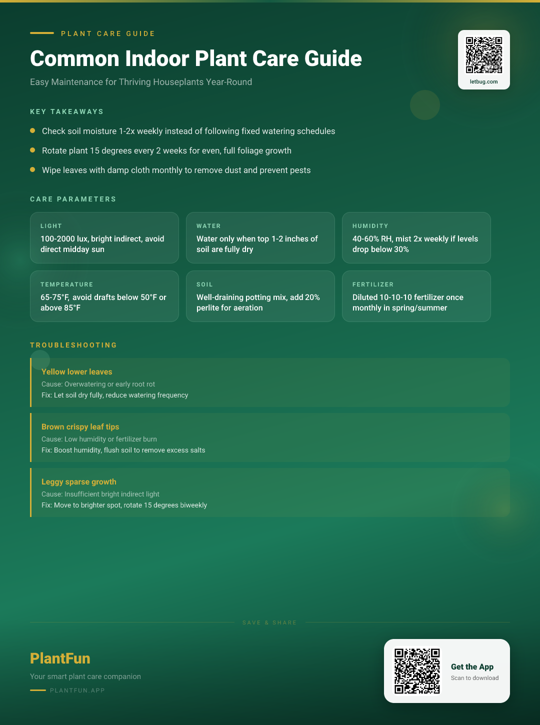 Indoor plant guide — Care Guide for indoor houseplants