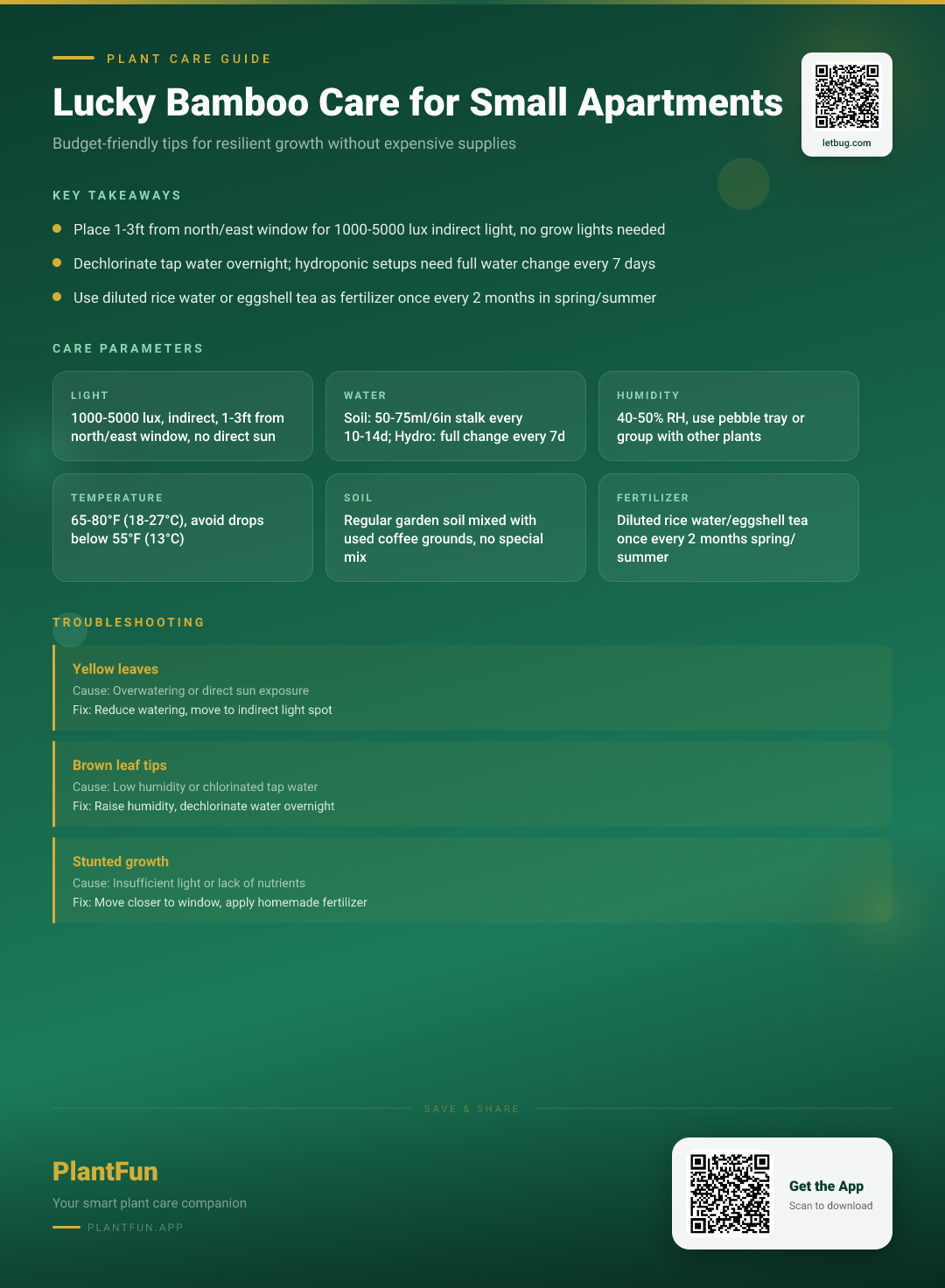 Lucky Bamboo Care Checklist for Small Apartments: Budget Tips for Resilient Growth — Care Guide for indoor houseplants