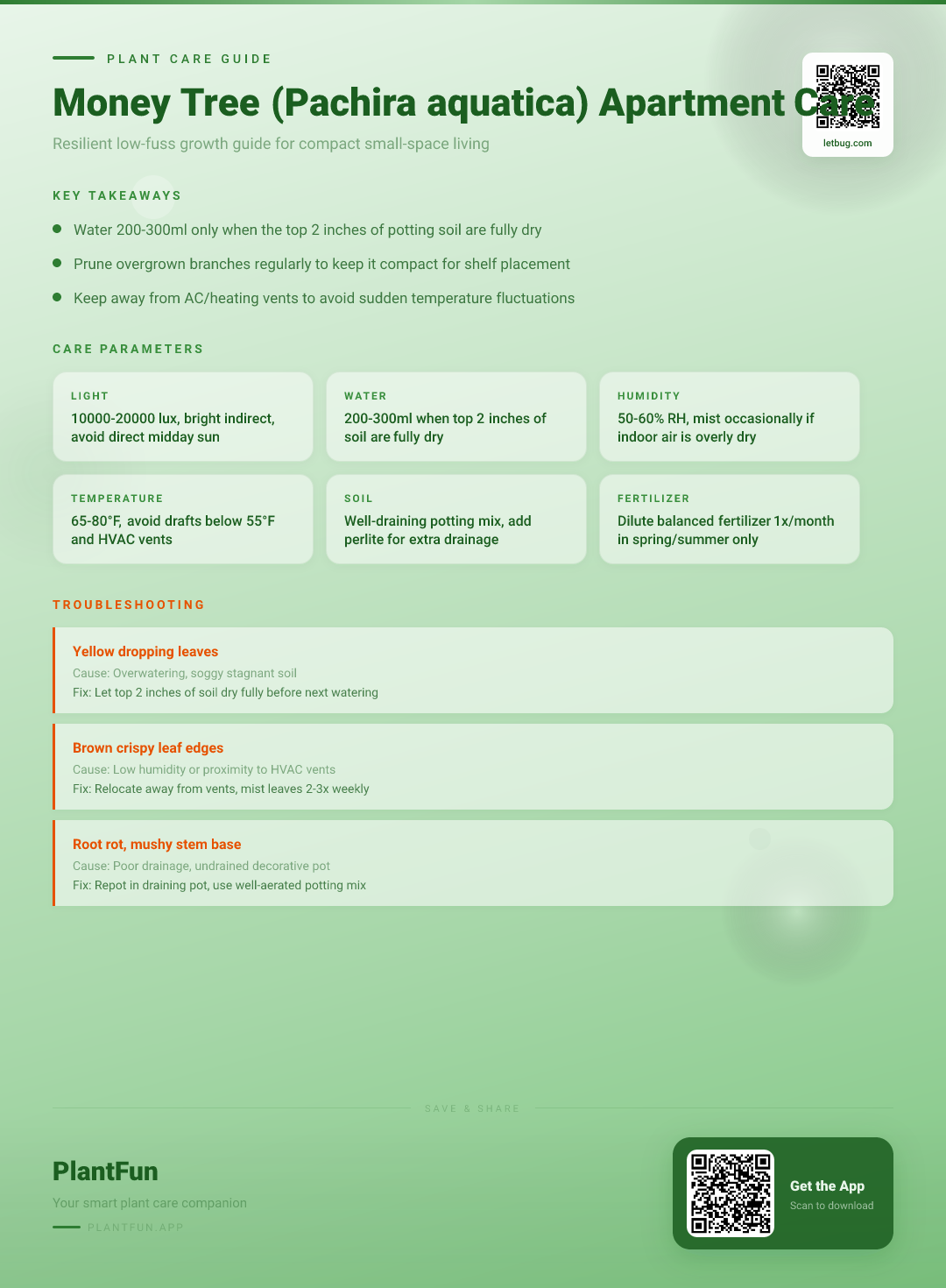 Money Tree Care in Small Apartments: The Essential Guide to Resilient Growth — Care Guide for indoor houseplants