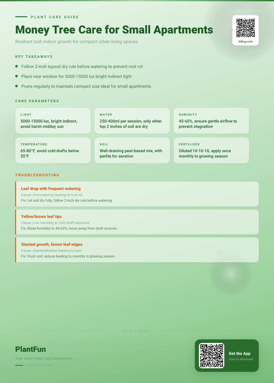 Money Tree Care for Small Apartments: The Ultimate Guide to Resilient Indoor Growth — Care Guide for indoor houseplants