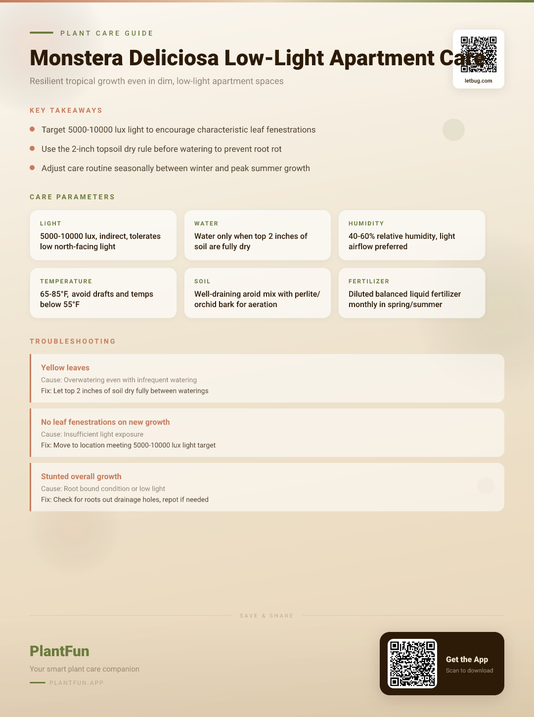 Monstera Deliciosa in a Low-Light Apartment: The Complete Care Guide for Resilient Growth — Care Guide for indoor houseplants