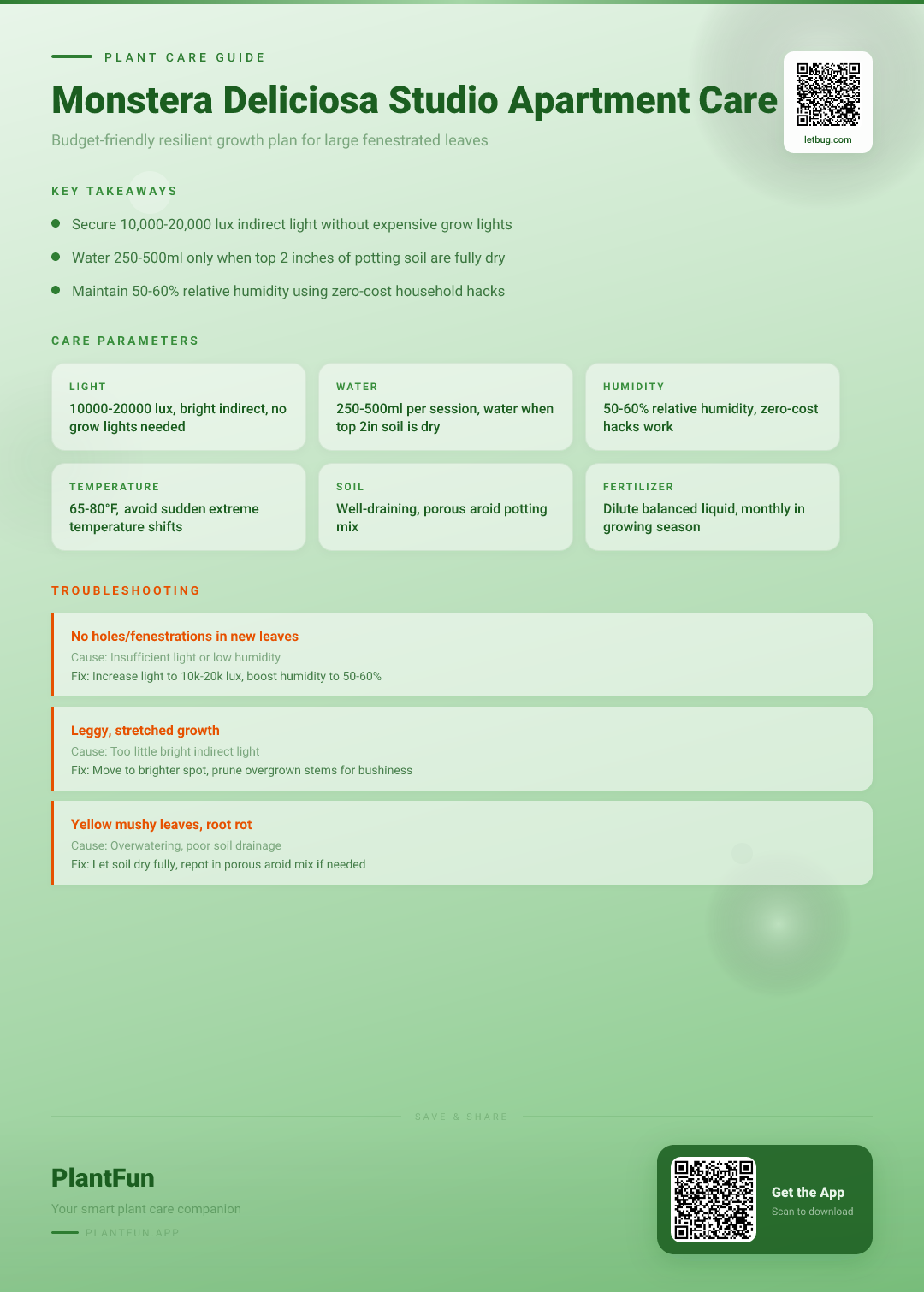 Monstera Deliciosa in a Studio Apartment: The Ultimate Budget-Friendly Resilient Growth Care Plan — Care Guide for indoor houseplants