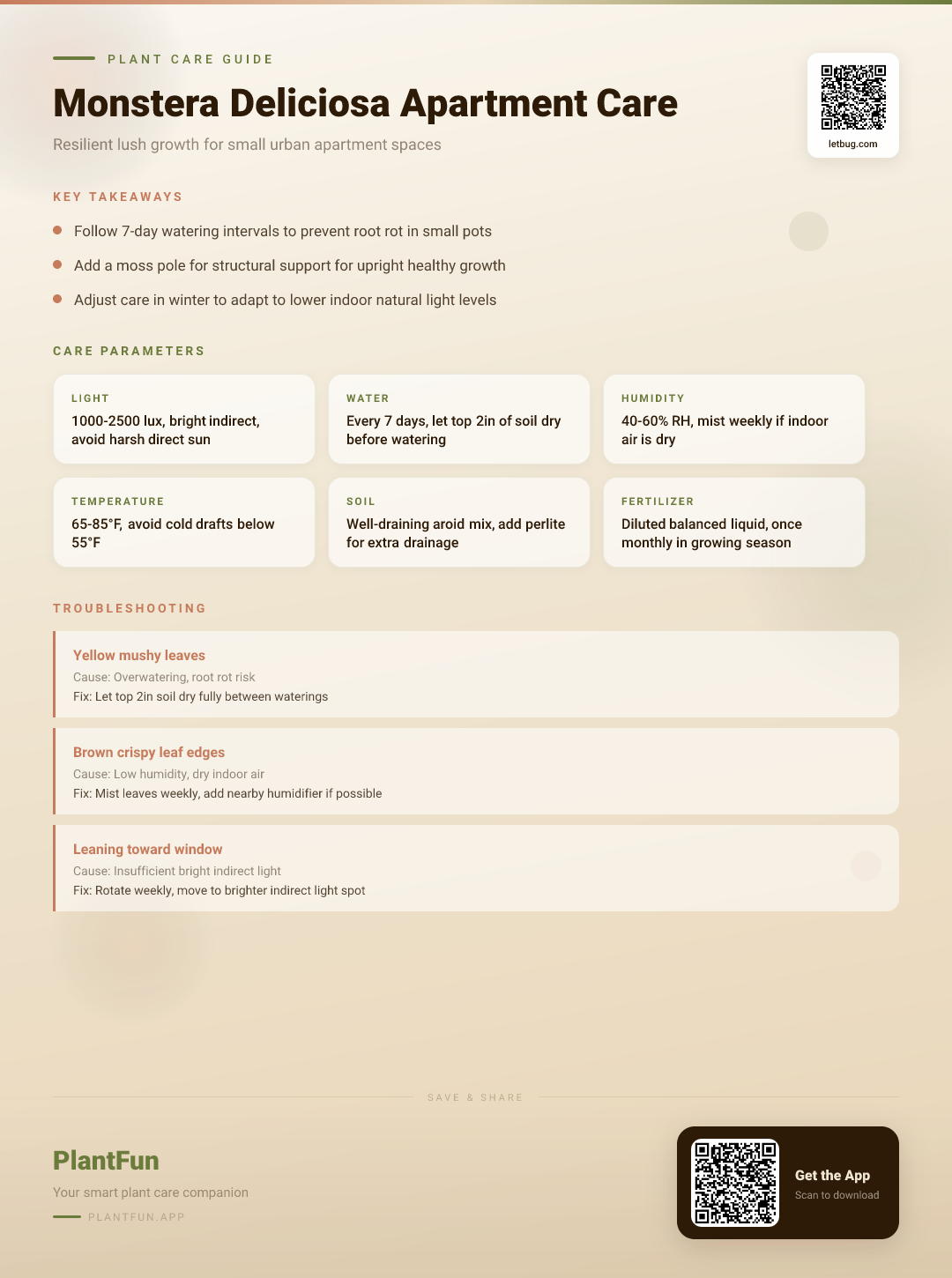 Monstera Deliciosa in a Typical Apartment: The Only Resilience Care Guide You Need — Care Guide for indoor houseplants