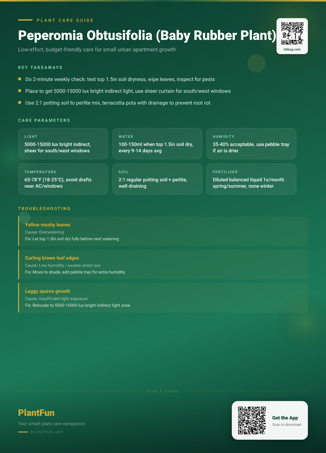 Peperomia Obtusifolia Care Checklist For Resilient Growth In Small Urban Apartments — Care Guide for indoor houseplants