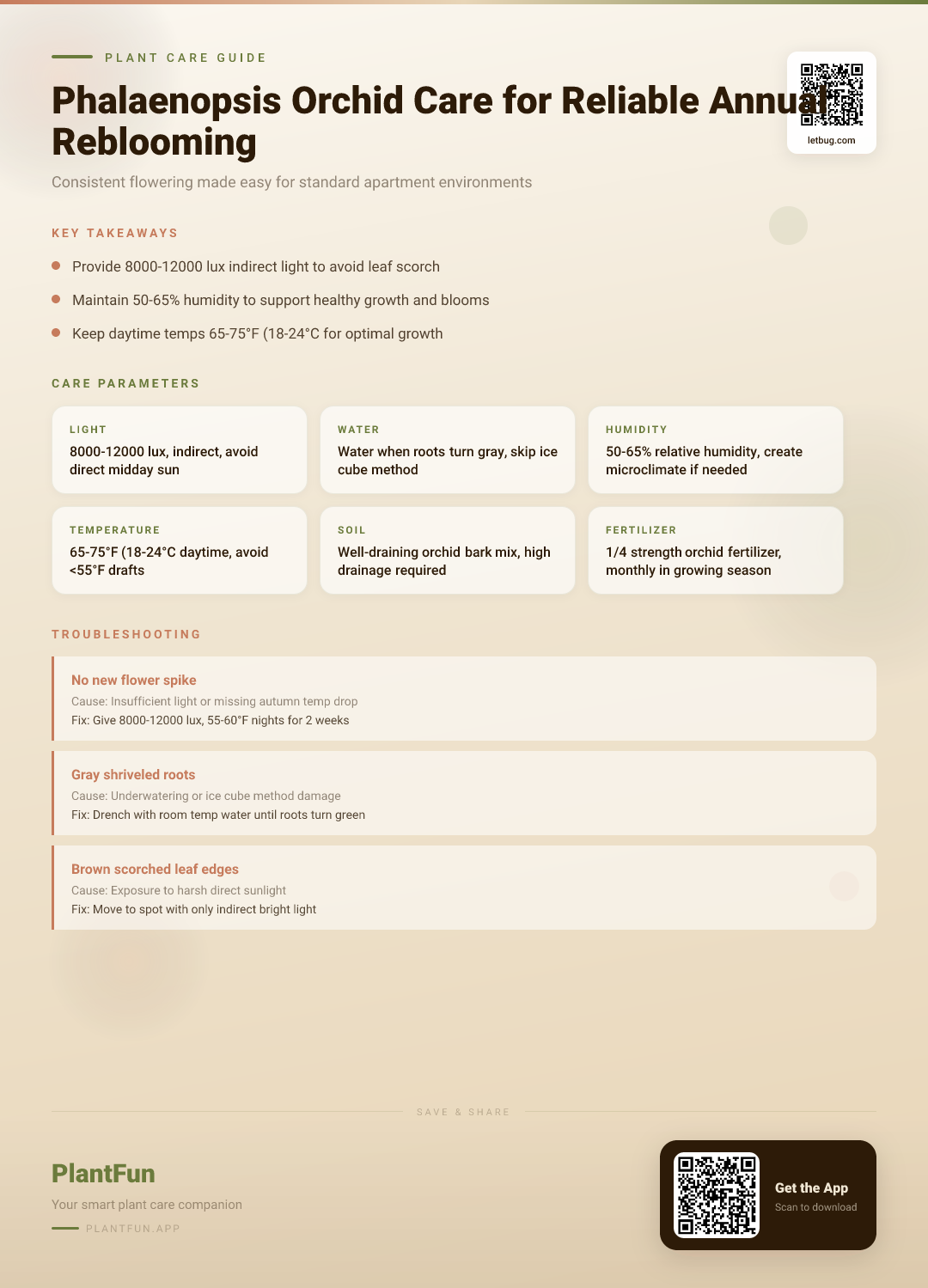 Phalaenopsis Orchid Care in Apartment Living: The 5-Step Path to Reliable Annual Reblooming — Care Guide for indoor houseplants