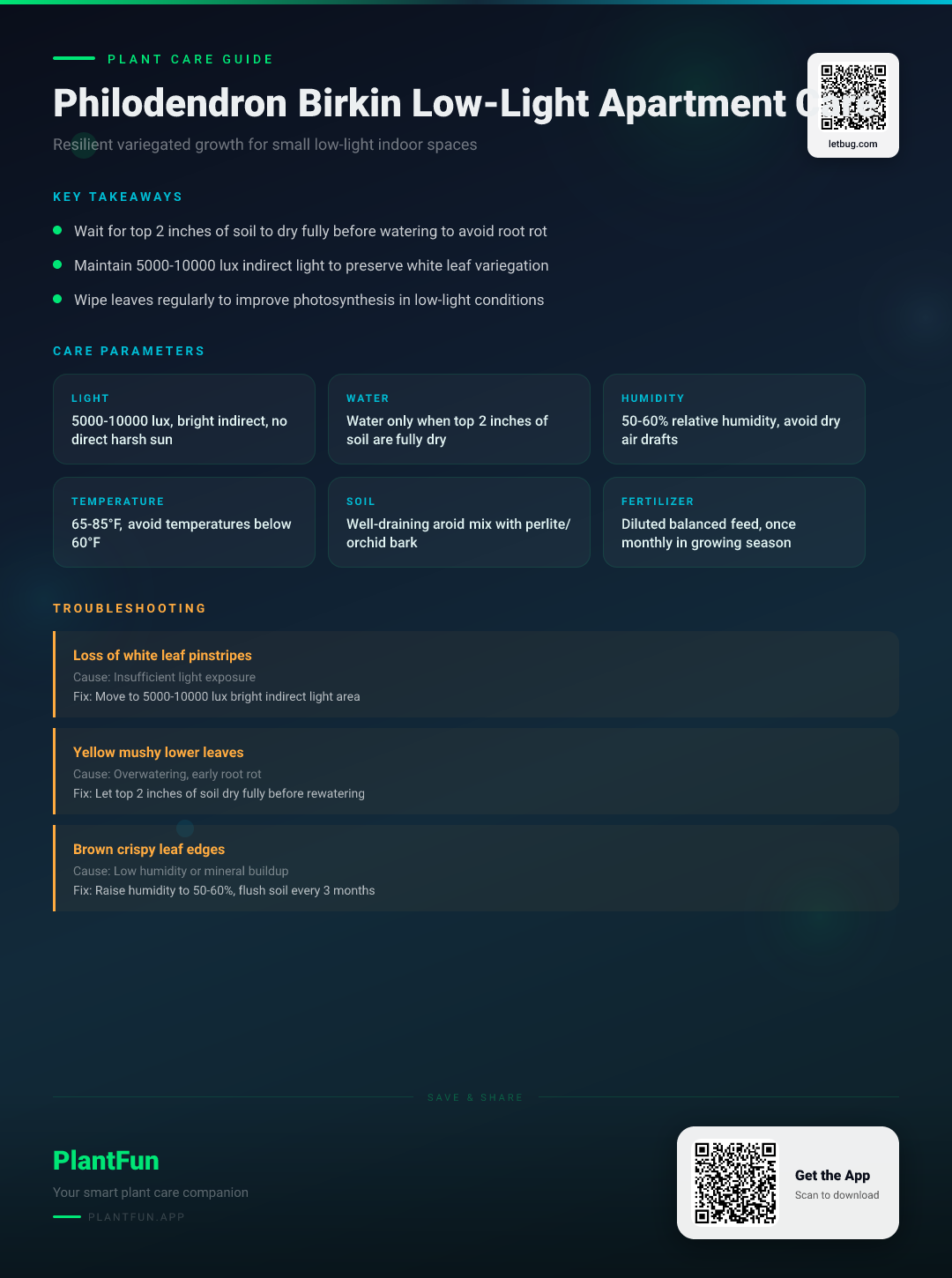 Philodendron Birkin in Low-Light Apartments: A Resilient Growth and Seasonal Care Guide — Care Guide for indoor houseplants