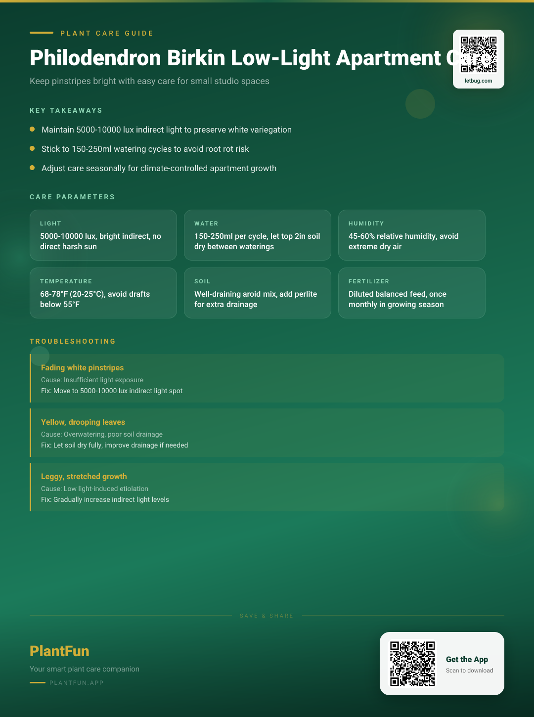 Philodendron Birkin in a Low-Light Studio Apartment: The Only Care Guide You’ll Ever Need — Care Guide for indoor houseplants