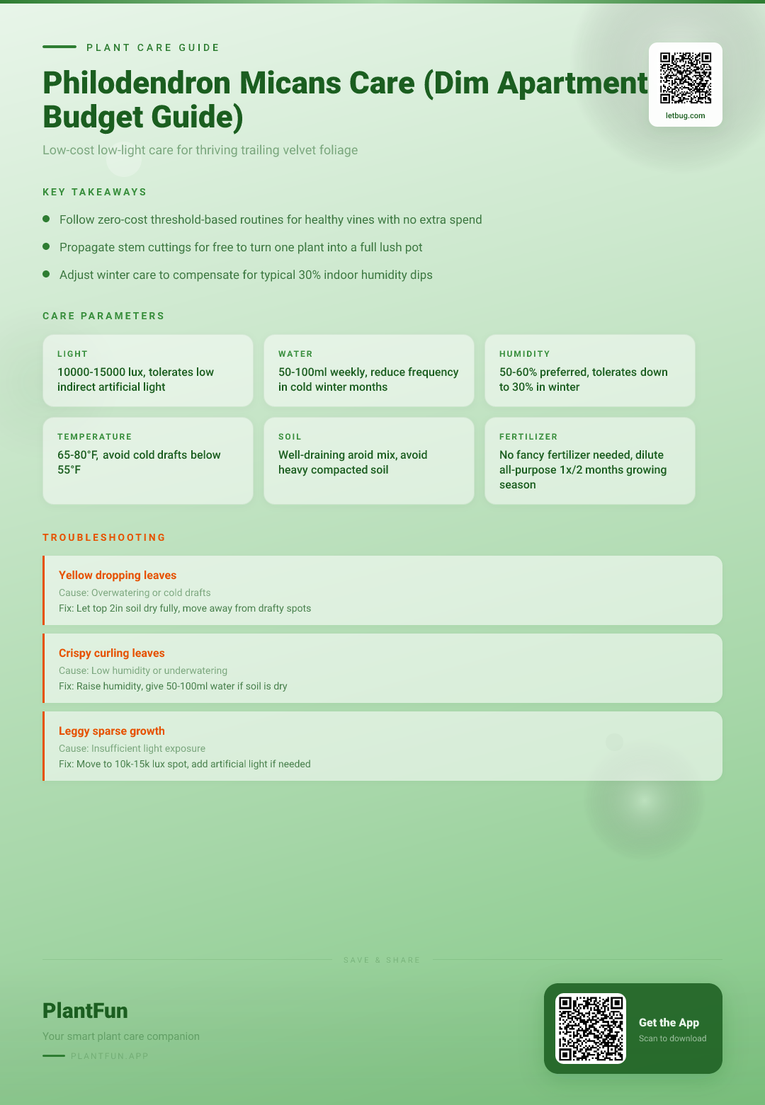 Philodendron Micans in a Dim Apartment: The Only Budget-Friendly Care Guide You Need — Care Guide for indoor houseplants