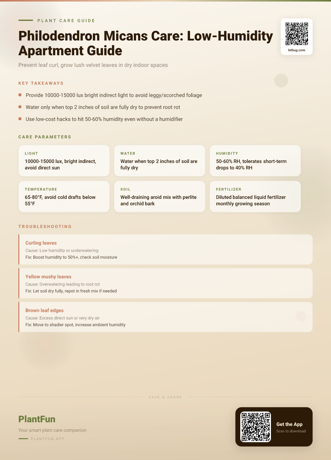 Philodendron Micans in a Low-Humidity Apartment: The Ultimate Care Guide to Preventing Leaf Curl — Care Guide for indoor houseplants