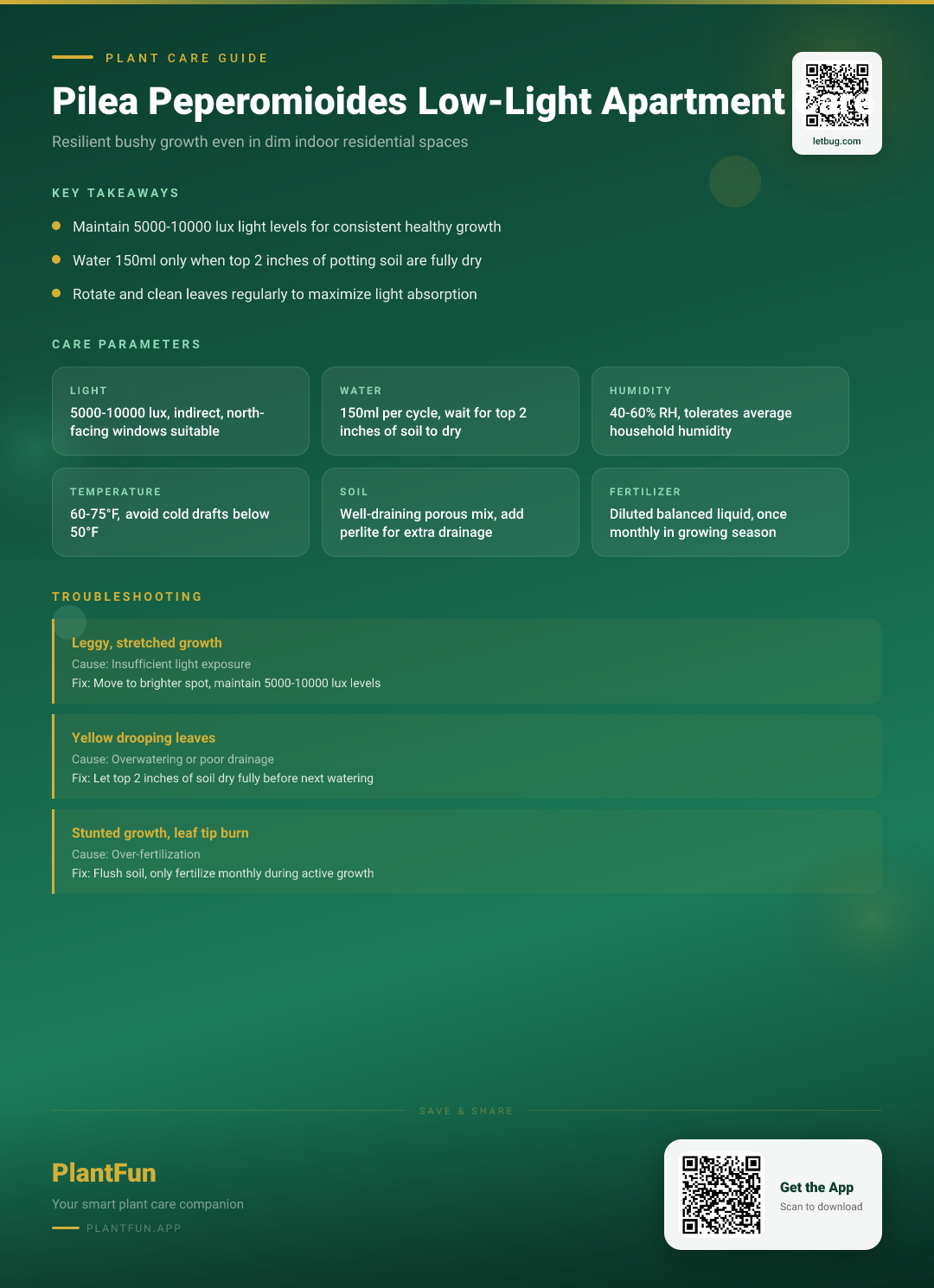 Pilea Peperomioides in Low-Light Apartments: The Complete Care Guide for Resilient Growth — Care Guide for indoor houseplants