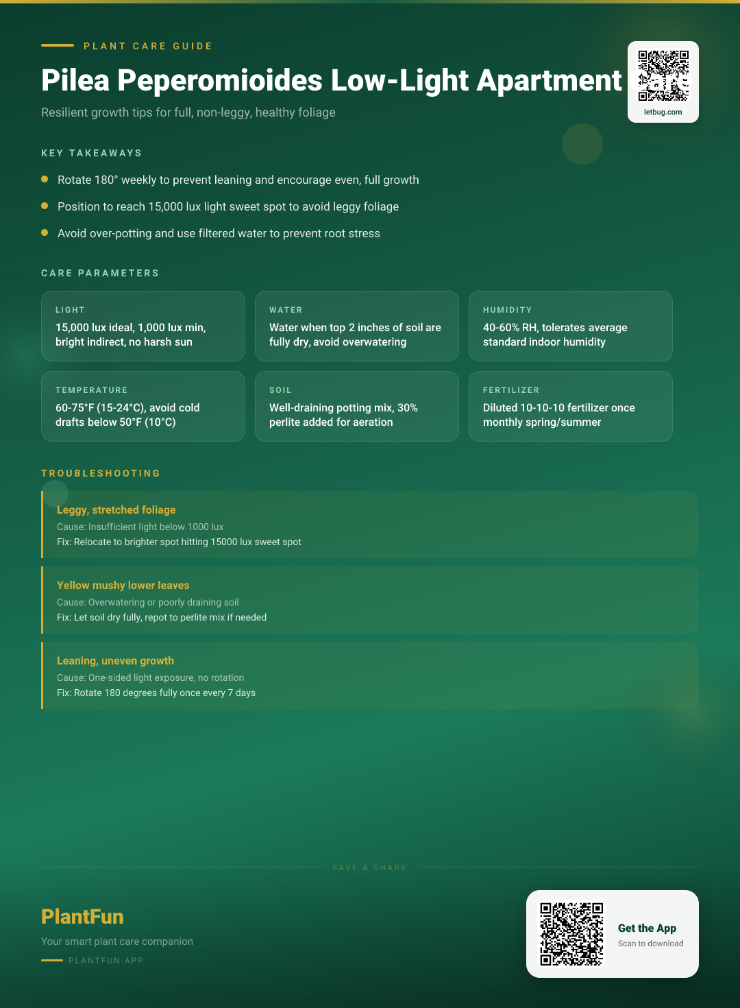 Pilea Peperomioides in Low-Light Apartments: A Resilient Care Strategy for Steady Growth — Care Guide for indoor houseplants