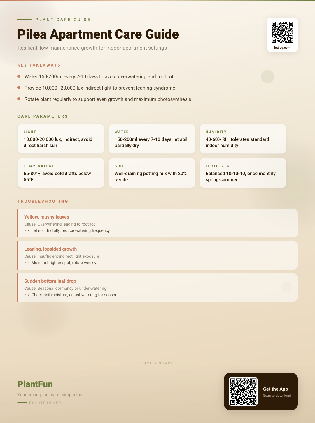 Pilea in Your Apartment: The Only Care Guide You’ll Ever Need for Resilient Growth — Care Guide for indoor houseplants