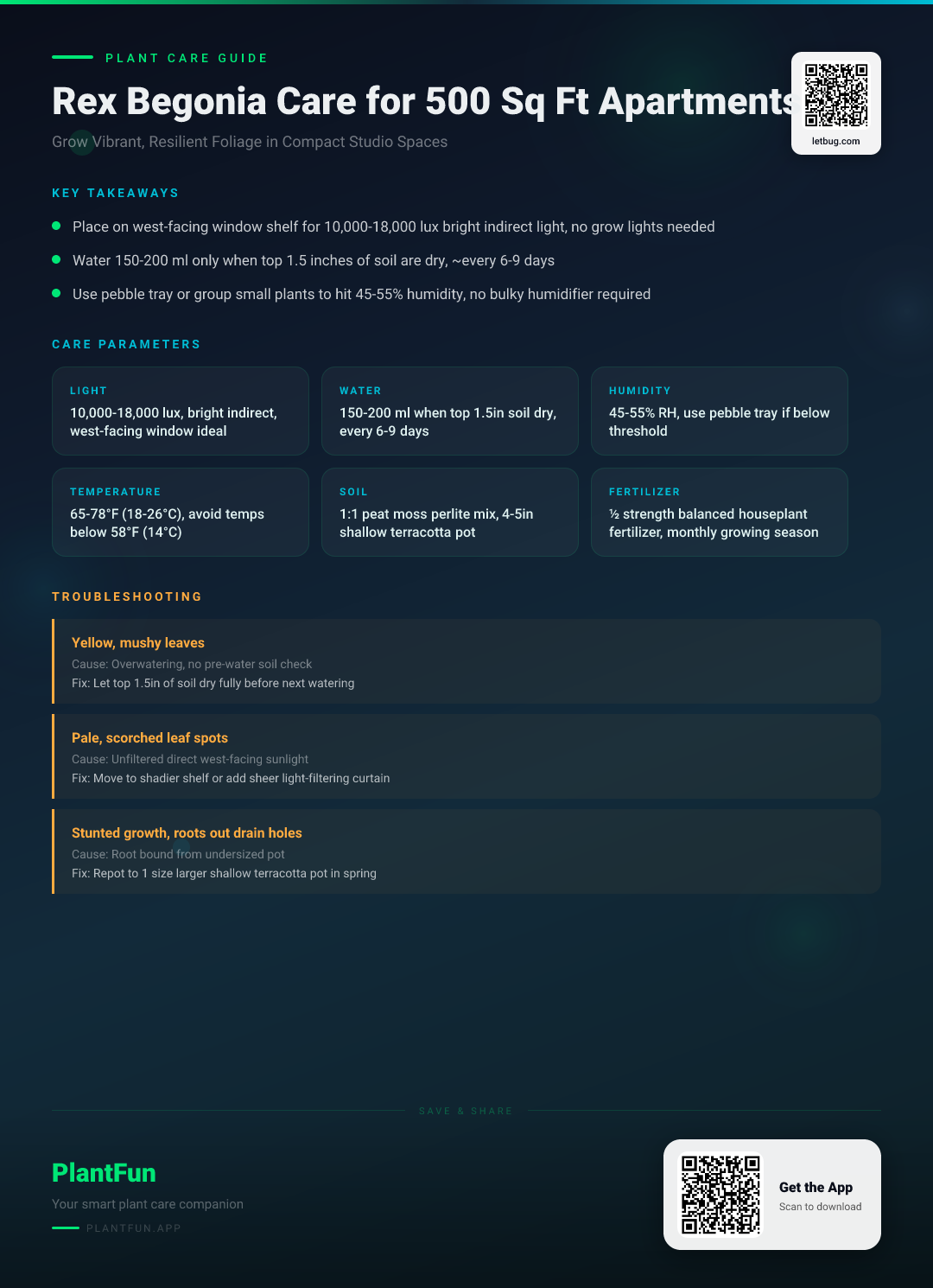 Rex Begonia Care Checklist for 500 Sq Ft Apartments: Grow Vibrant, Resilient Foliage — Care Guide for indoor houseplants