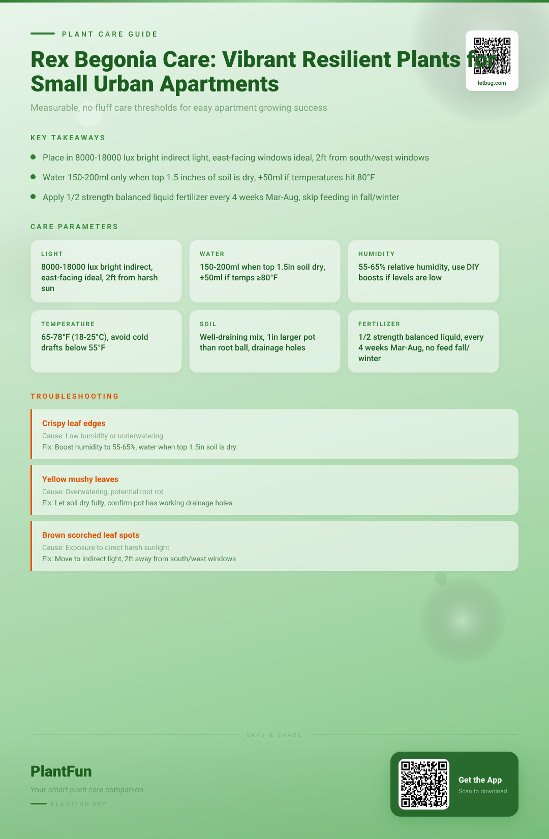 Rex Begonia Care Checklist: Grow Vibrant Resilient Plants in Small Urban Apartments — Care Guide for indoor houseplants