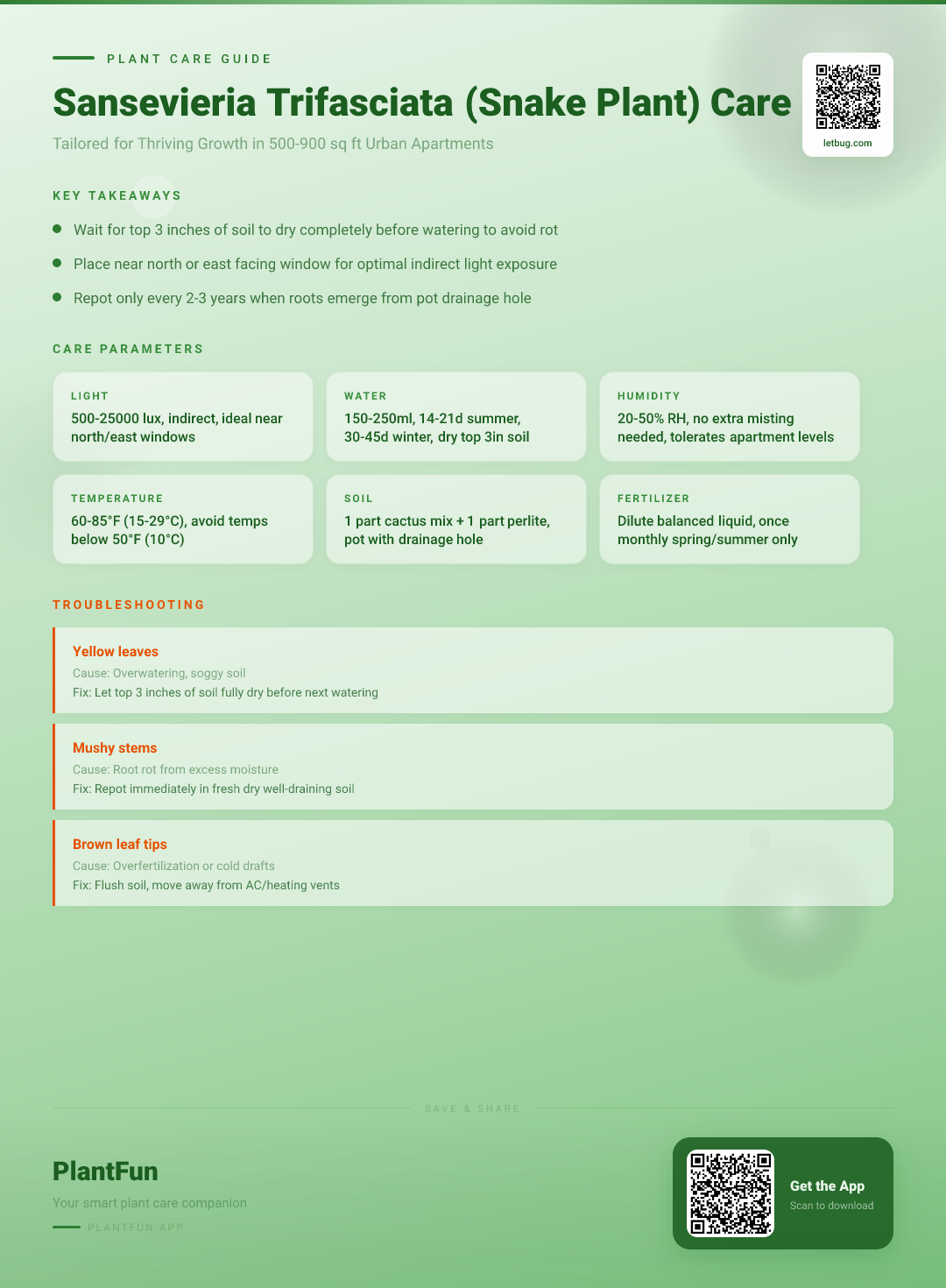 Sansevieria Trifasciata (Snake Plant) Care Checklist for Resilient Growth in Urban Apartments — Care Guide for indoor houseplants