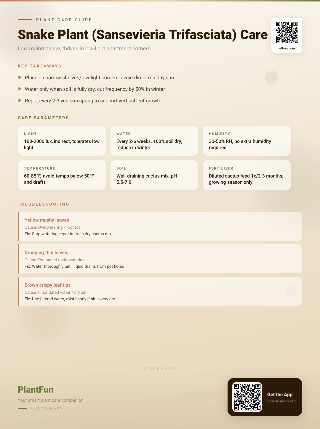 Snake Plant Care in Apartments: The Ultimate Guide to Thriving in Low-Light Corners — Care Guide for indoor houseplants