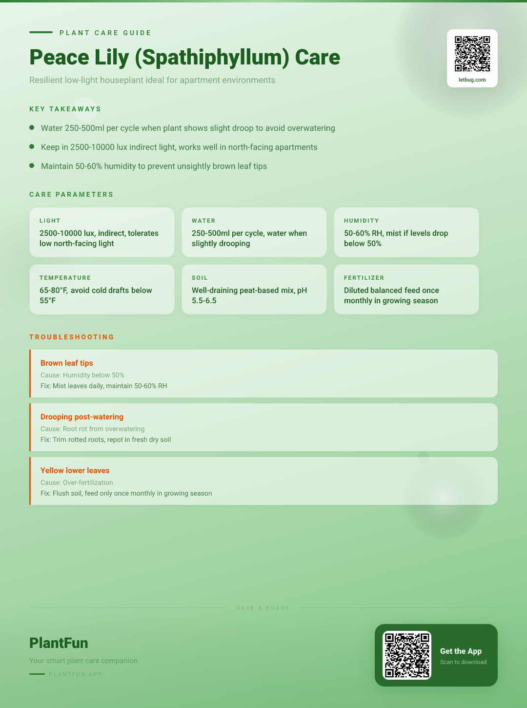 Spathiphyllum in a Low-Light Apartment: The Complete Peace Lily Care Guide for Resilience — Care Guide for indoor houseplants