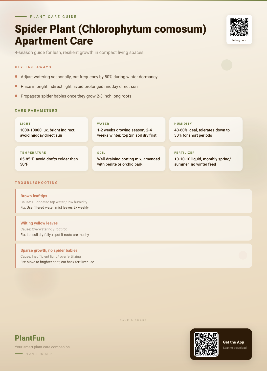 Spider Plant Care for Small Apartments: A 4-Season Guide to Lush, Resilient Growth — Care Guide for indoor houseplants