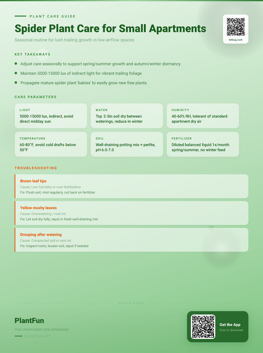 Spider Plant Care for Small Apartments: A Seasonal Guide for Resilient Growth — Care Guide for indoor houseplants