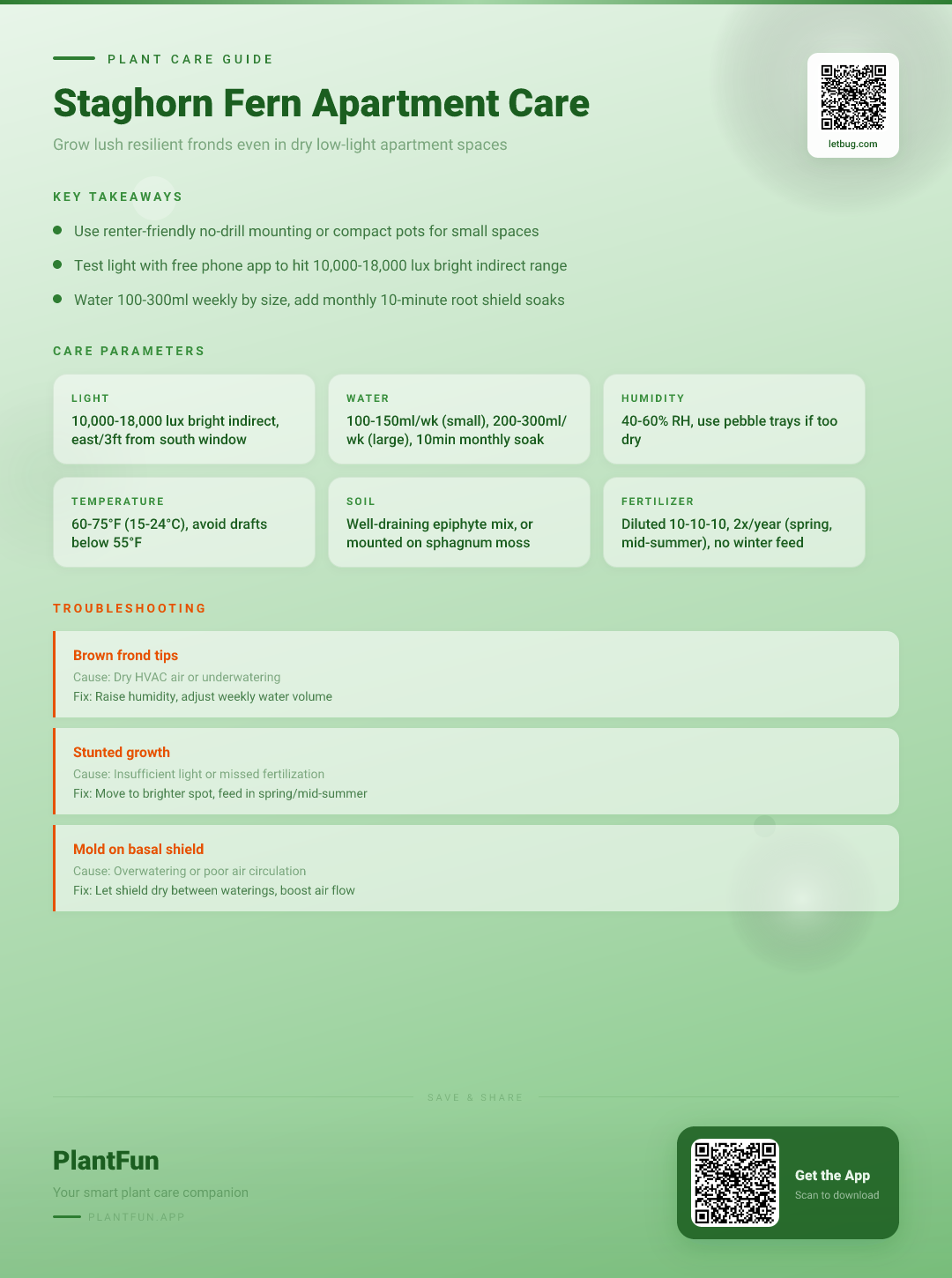 Staghorn Fern in Typical Apartments: The Only Resilient Growth Checklist You’ll Need — Care Guide for indoor houseplants
