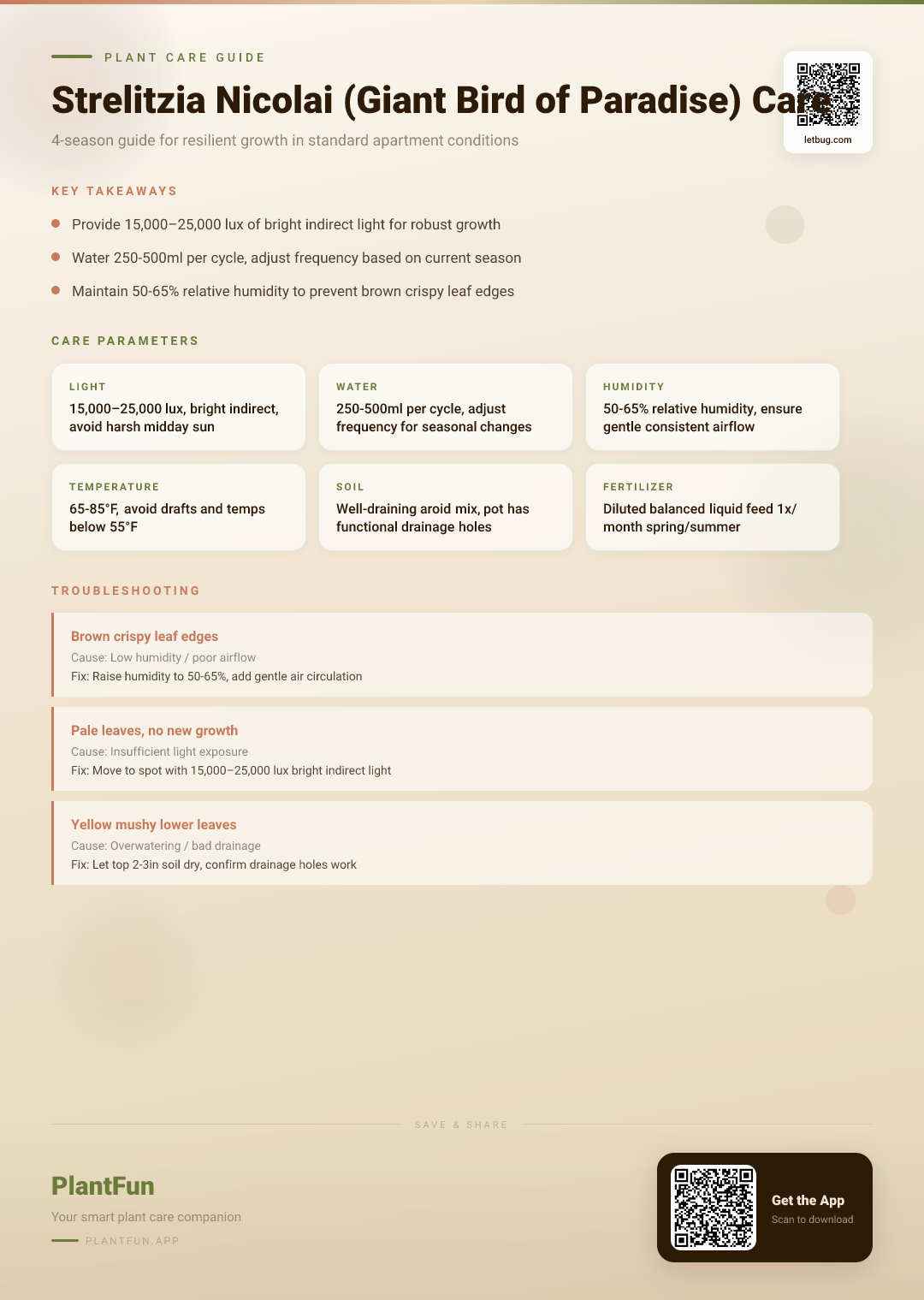 Strelitzia nicolai in a Typical Apartment: The Complete Seasonal Care Guide for Resilient Growth — Care Guide for indoor houseplants
