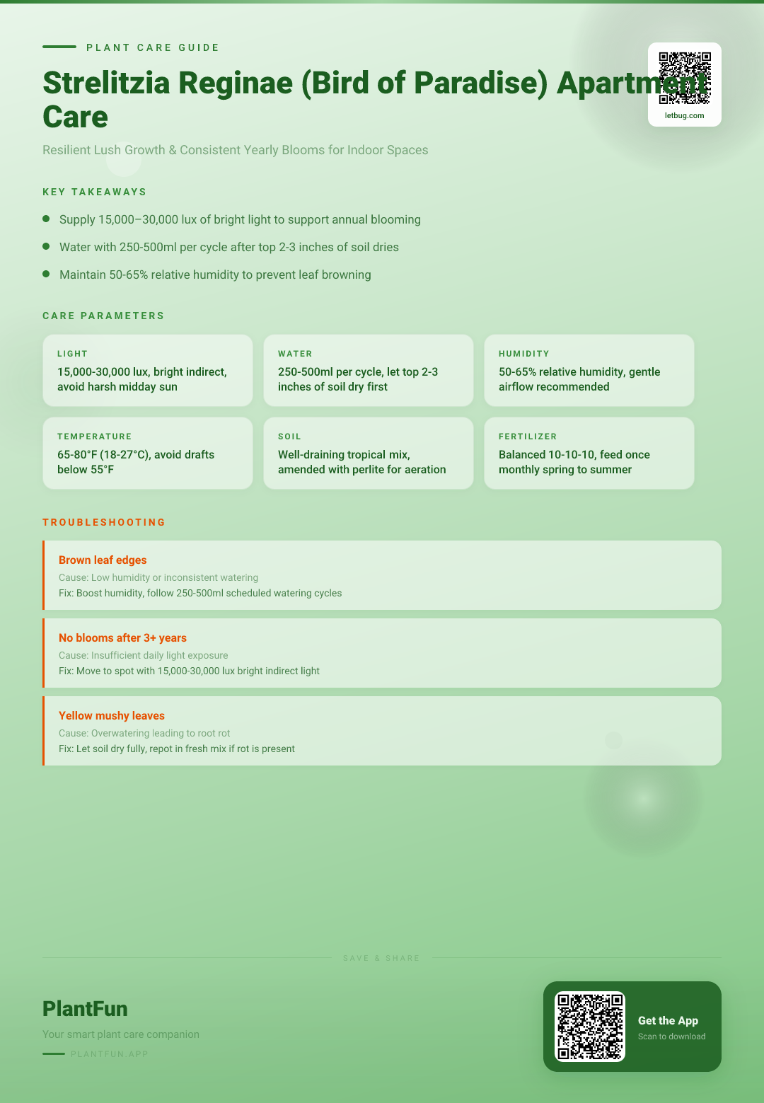 Strelitzia reginae in Apartment Living: The Ultimate Care Guide for Resilient, Flowering Growth — Care Guide for indoor houseplants