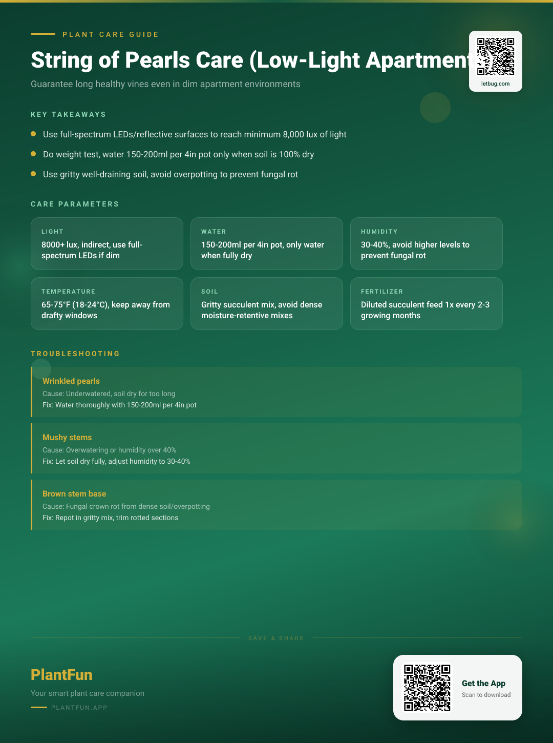 String of Pearls in a Dim Apartment: The Ultimate Survival Care Guide — Care Guide for indoor houseplants