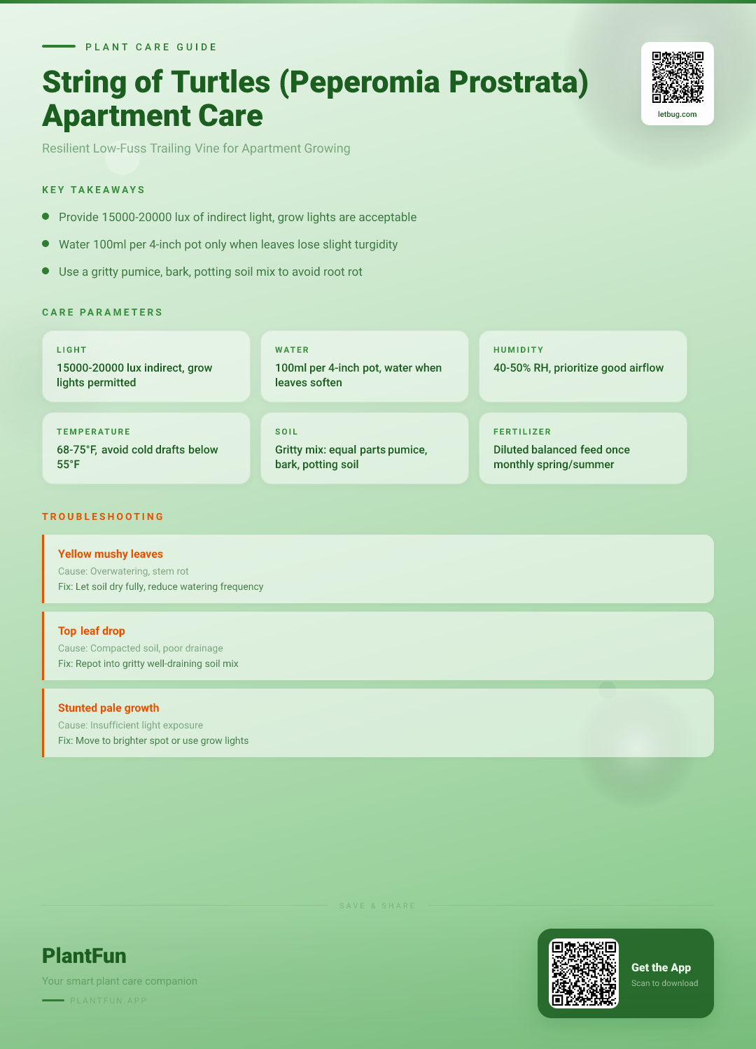 String of Turtles Care in Typical Apartments: A Resilient Growth and Maintenance Checklist — Care Guide for indoor houseplants