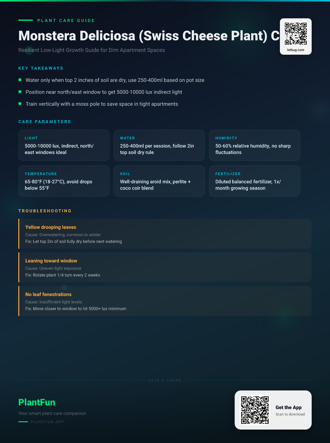 Swiss Cheese Plant Care in Low-Light Apartments: A Resilient Growth Strategy for Monstera deliciosa — Care Guide for indoor houseplants