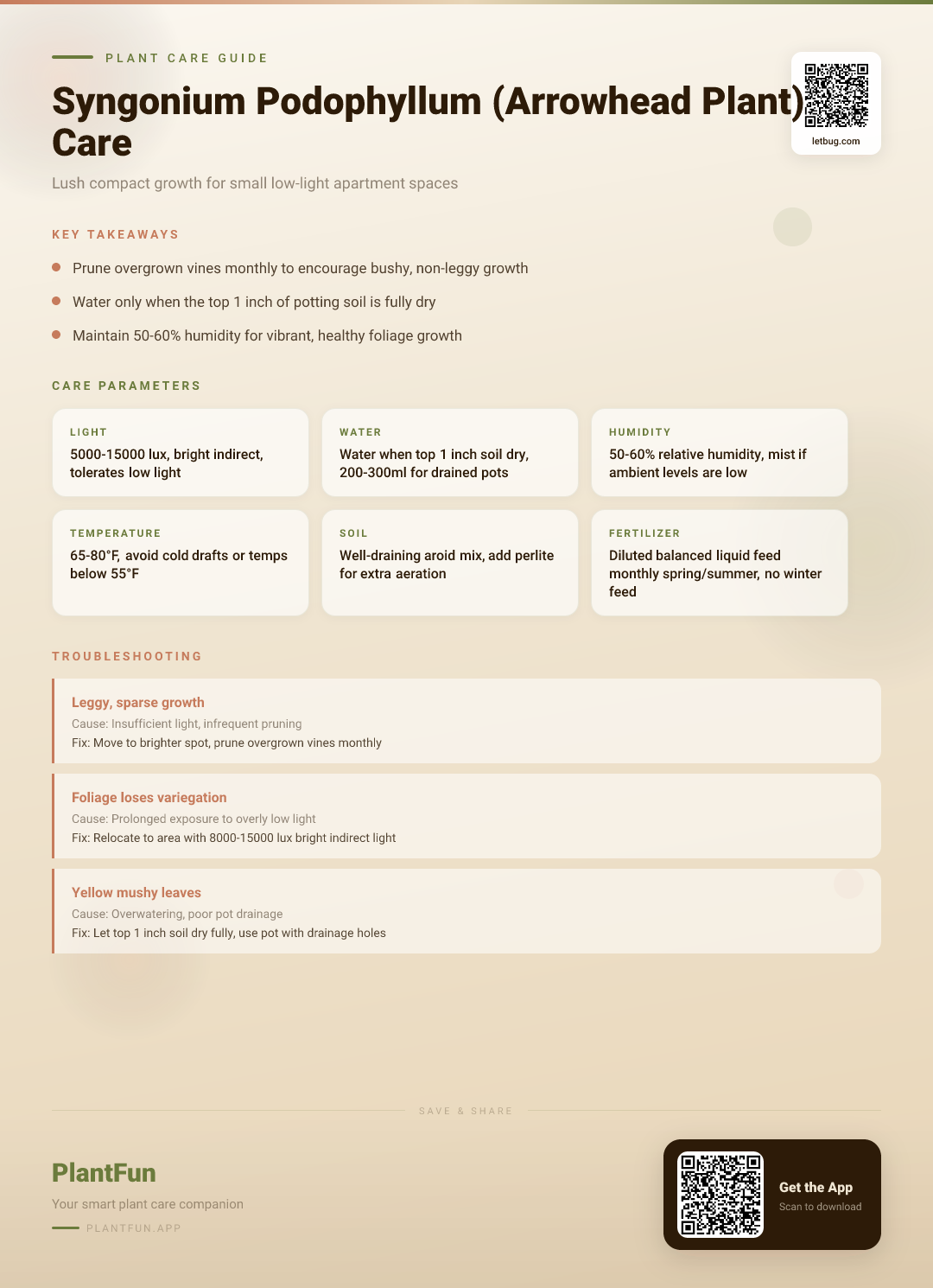 Syngonium Podophyllum Care: Growing Healthy Arrowhead Plants in Compact, Low-Light Apartment Spaces — Care Guide for indoor houseplants