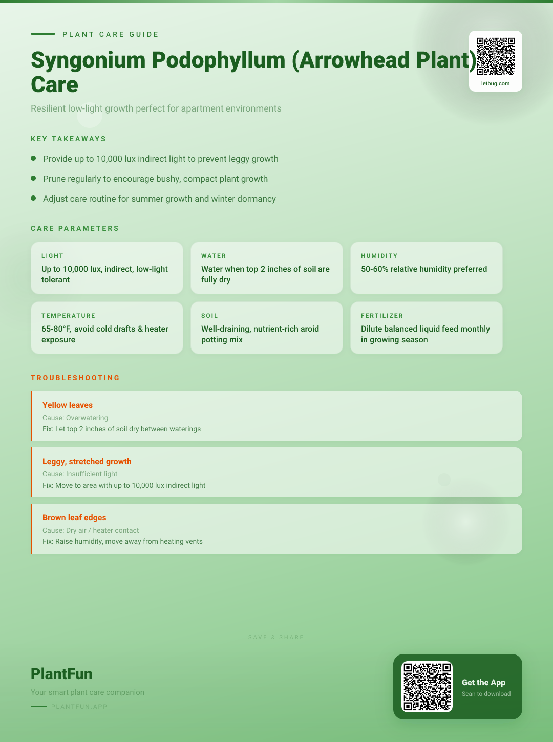 Syngonium Podophyllum in a Low-Light Apartment: The Complete Resilient Growth Guide — Care Guide for indoor houseplants