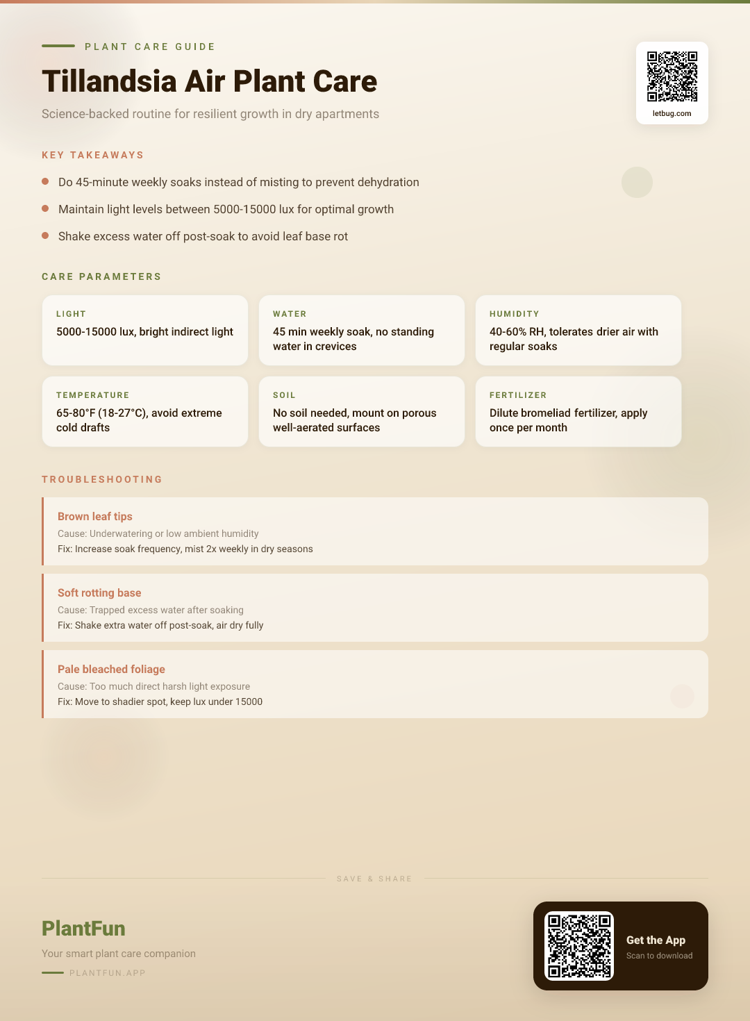 Tillandsia Air Plants in Dry Apartments: A Science-Backed Routine for Resilient, Thriving Growth — Care Guide for indoor houseplants