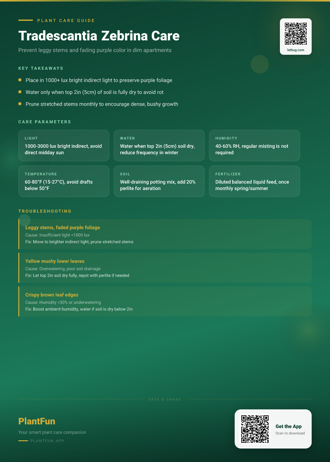 Tradescantia Zebrina in Your Dim Apartment: 5 Fixes for Leggy Stems and Fading Colors — Care Guide for indoor houseplants