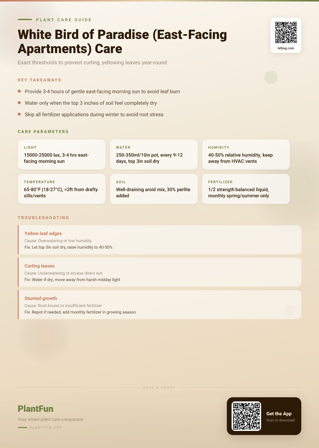 White Bird of Paradise in East-Facing Apartments: The Only Resilient Growth Care Checklist You Need — Care Guide for indoor houseplants