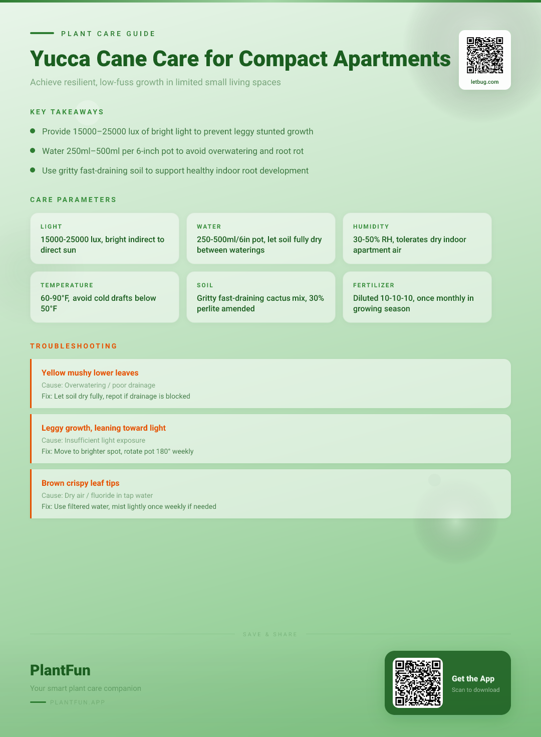 Yucca Cane Care in Compact Apartments: How to Achieve Resilient Growth in Small Spaces — Care Guide for indoor houseplants